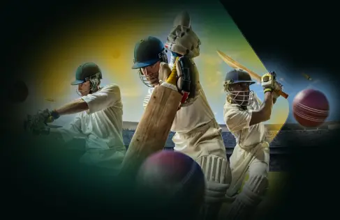 rajbet app free download